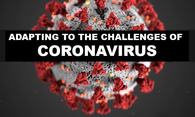 Microscopic image of the coronavirus.
