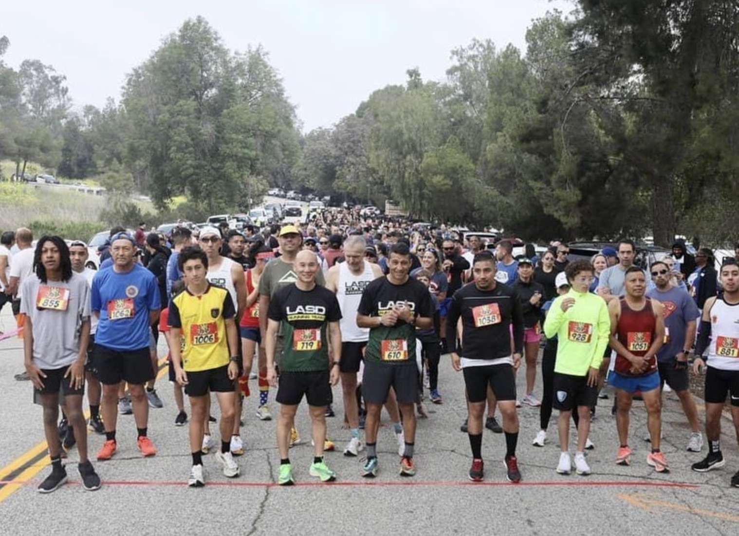 hundreds of people are standing at a starting line, the paved course is lined by large tall trees, all the people are dressed in running shirts, shorts and shoes.