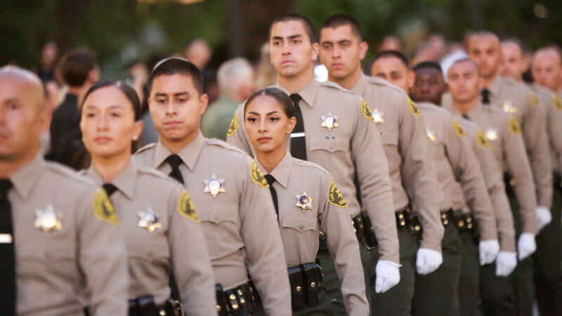 image of 12 deputies standing in line waiting to graduate, They are wearing tan shirts with black ties, badges over left side, white gloves, and green pants.