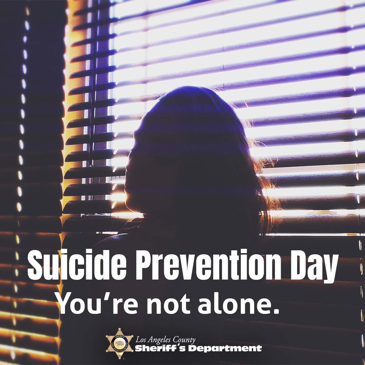 Suicide Prevention Day; You're not alone. Text over an image of a person with long hair sitting in front of partially open blinds. the person is back light so you only see a silhouette.