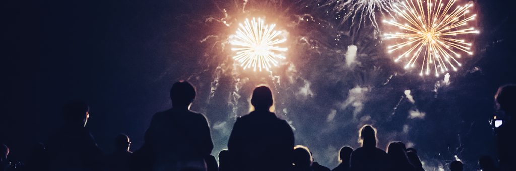 Night time image. Fireworks are going off in the air as people sit in the grass looking up.