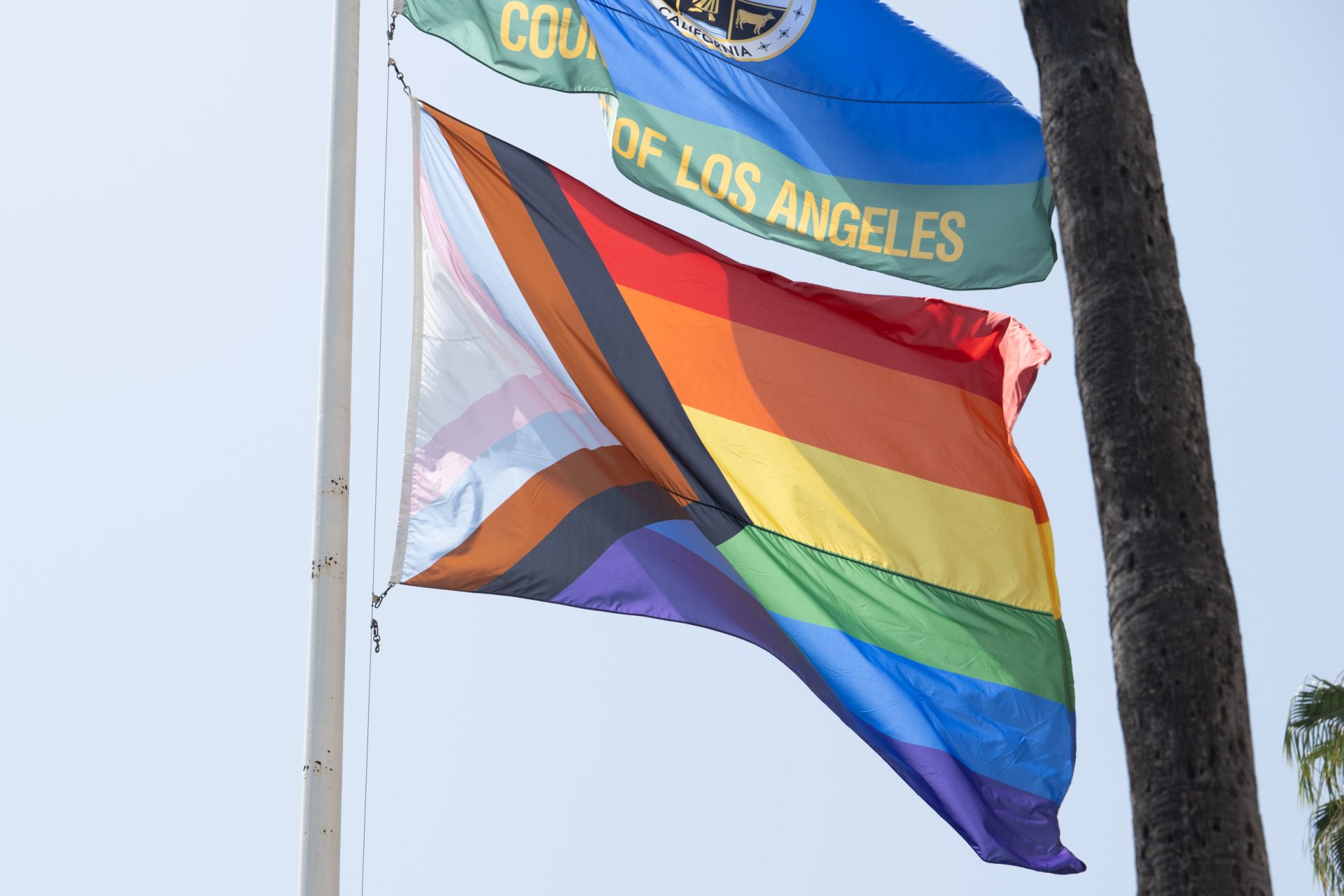 Pride flag waving on a flag pole under the LA county flag.